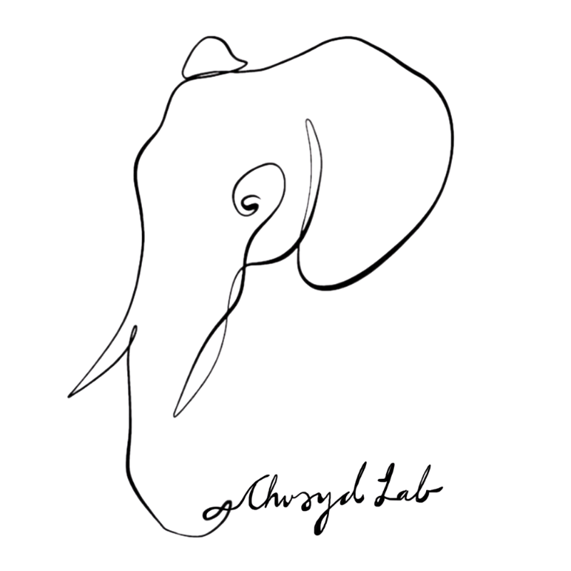 ELEPHANT AGING AND ENVIRONMENTAL HEALTH